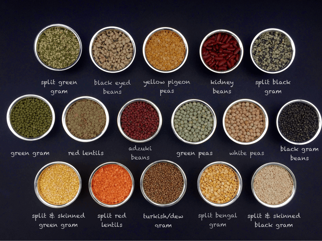 Indian Pulses - Lentils and Beans