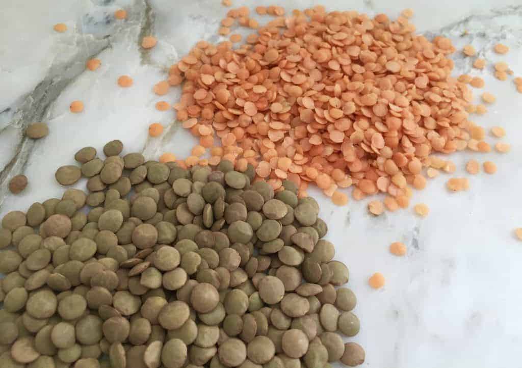 pulses - lentils