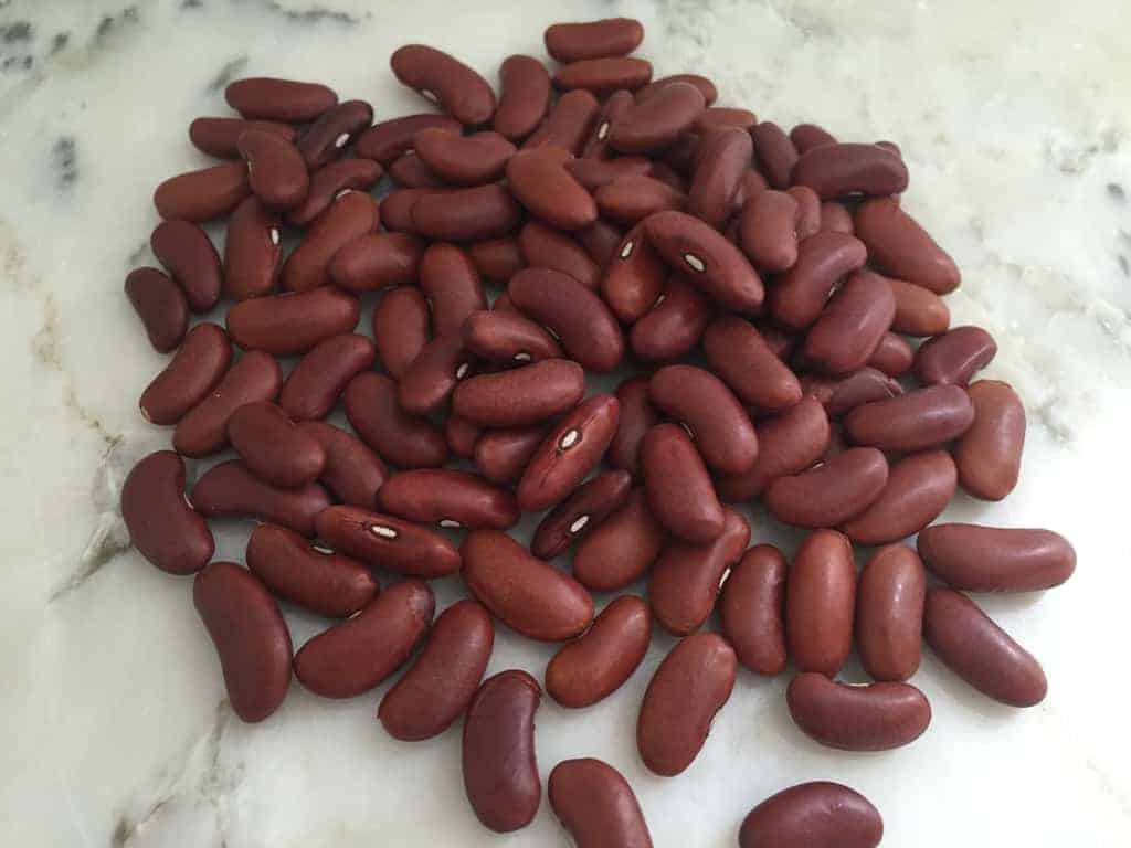 pulses - kidney beans