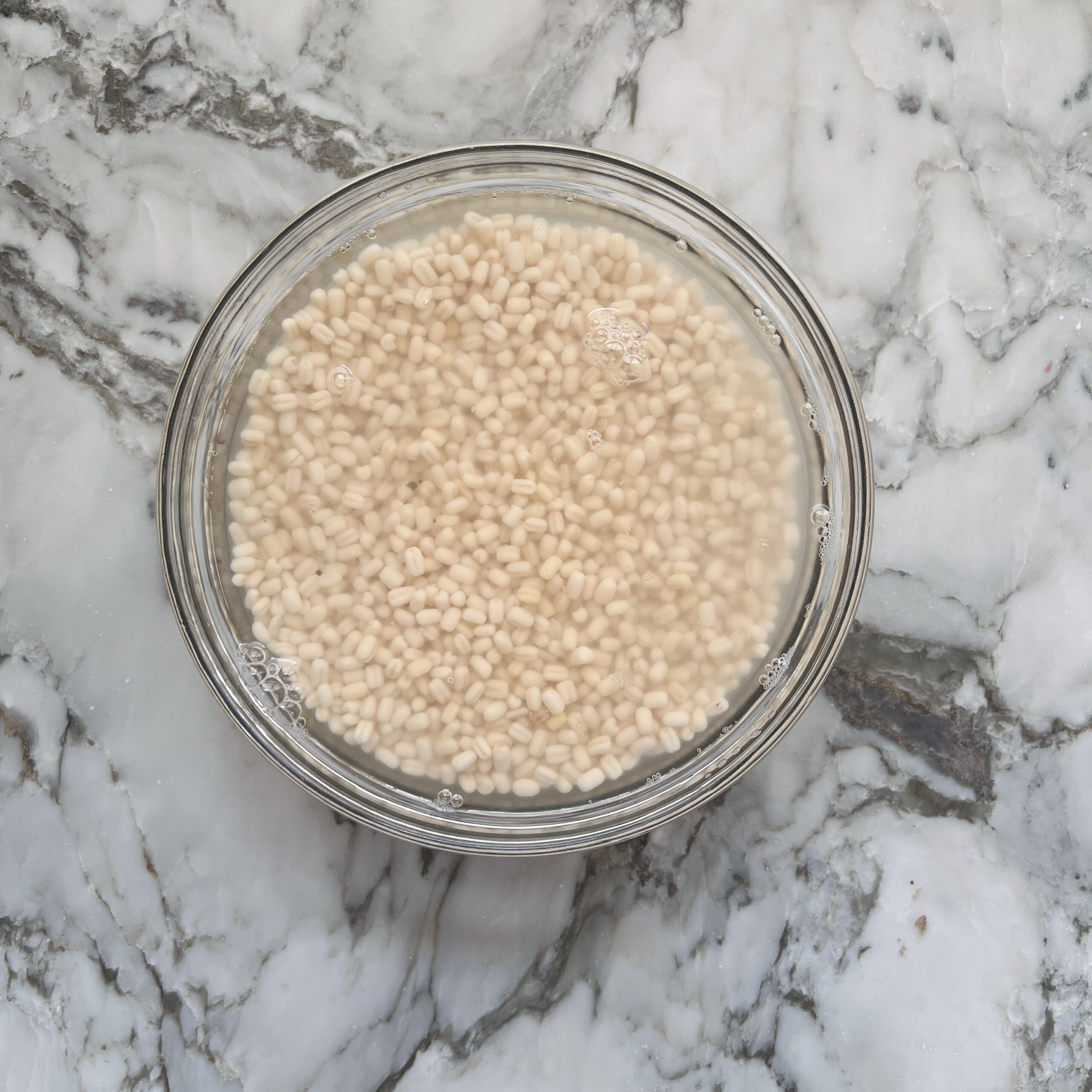 white lentils, urad daal soaked in water