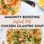chicken cilantro soup
