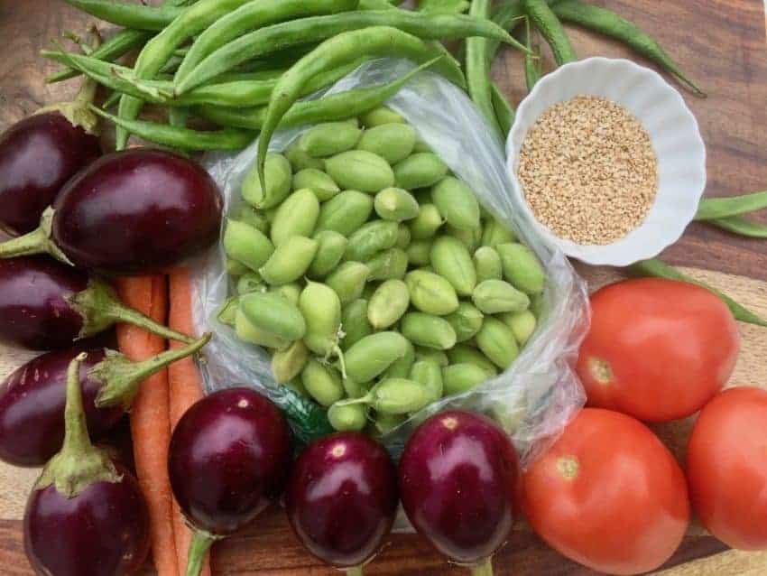 Baby eggplant, green chickpeas in pods, tomatoes, green beans and sesame seeds