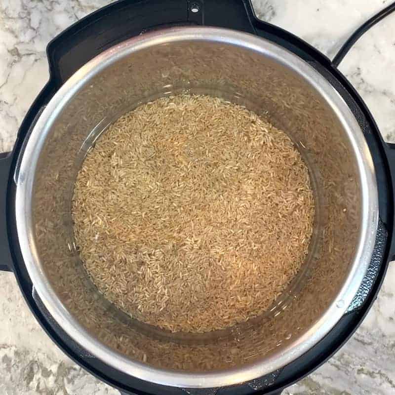 browrn rice and water 