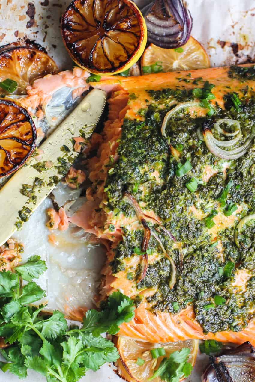 Baked salmon on a tray 