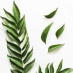 curry leaves