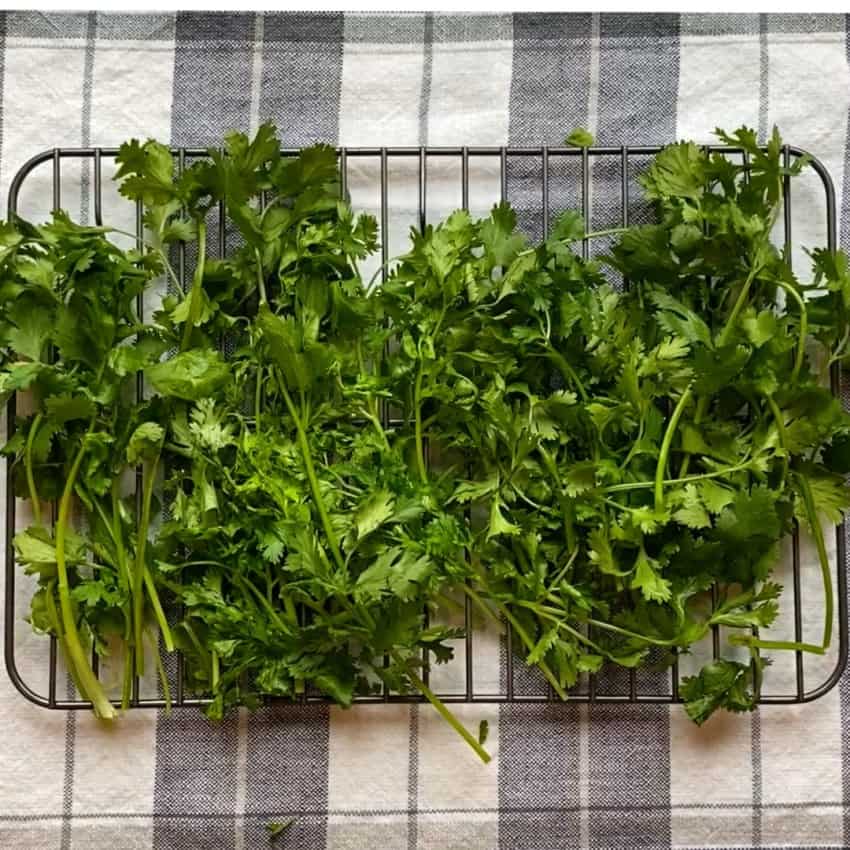 cilantro on a cooling rack