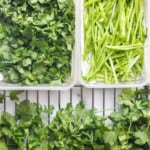 fresh cilantro and stems