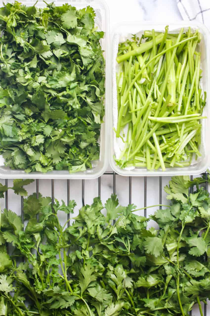 Fresh cilantro & stems