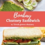 chutney sandwich