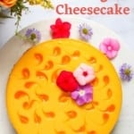 Mango cheesecake