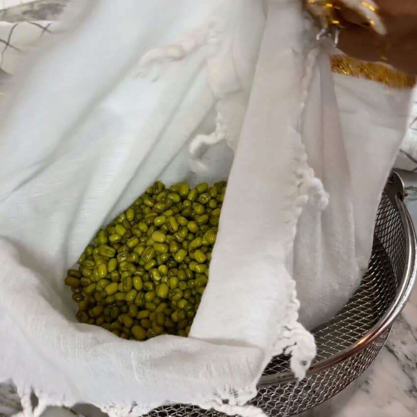 soaked mung beans on a white cloth 