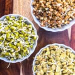 sprouted beans