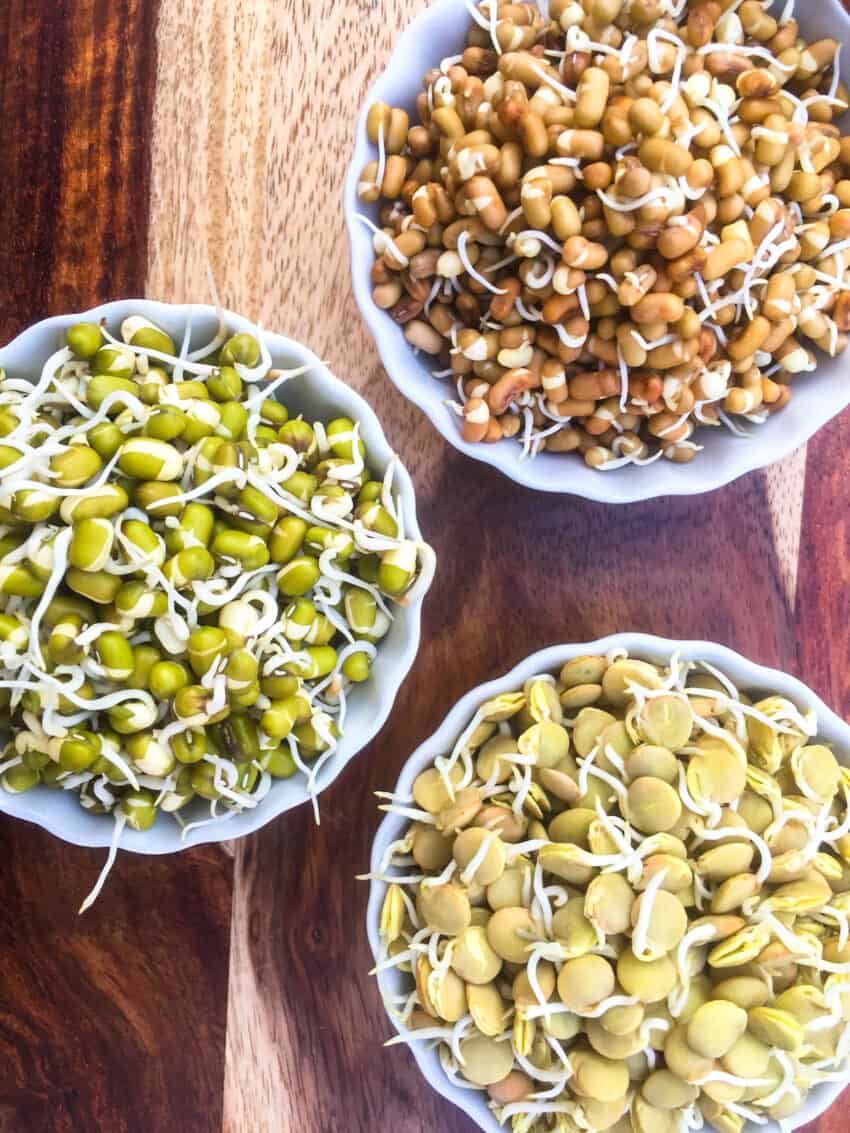 sprouted moth, masoor and mung beans in bowls