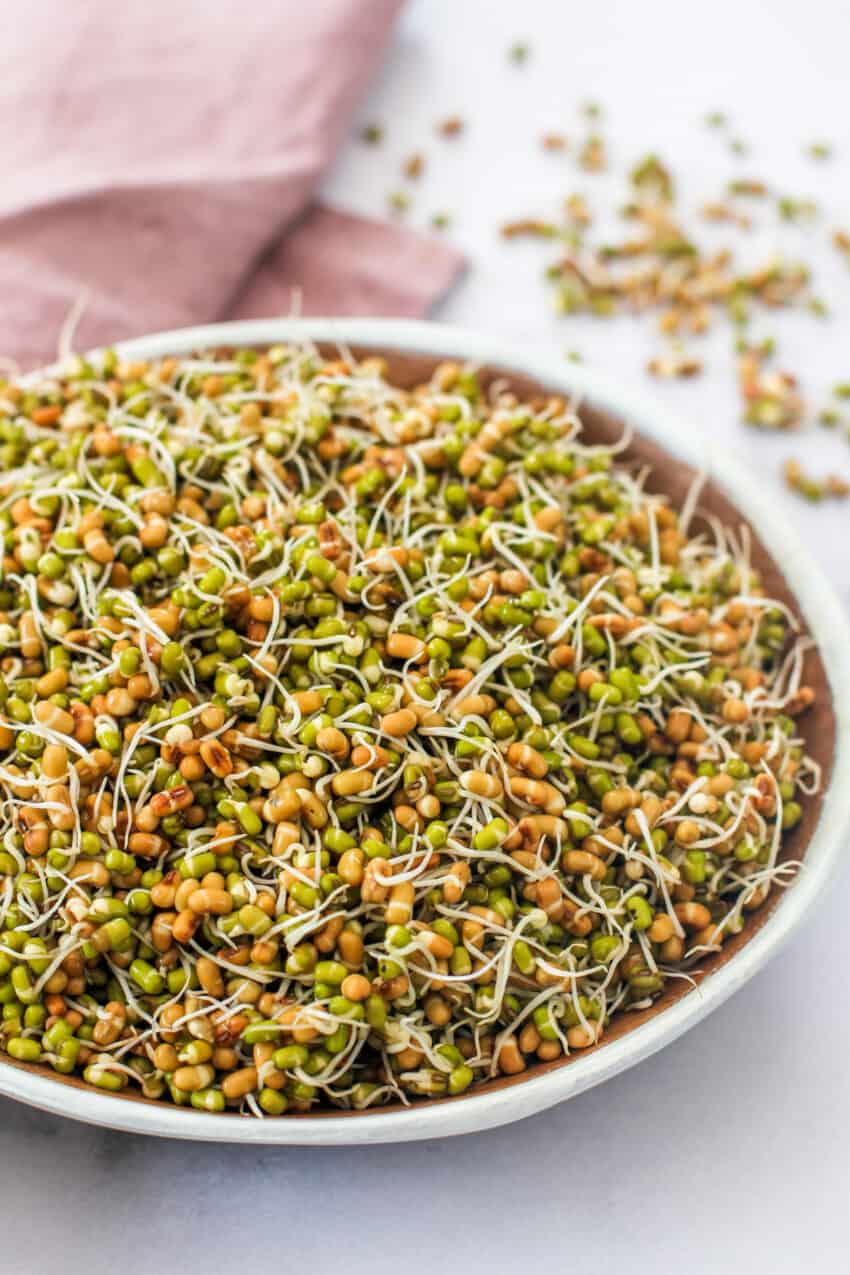 sprouted moth and mung beans in a bowl 