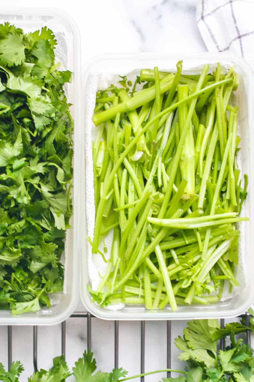 cilantro stems
