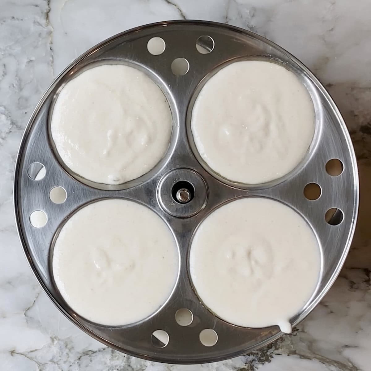 idli rack ready to be steamed.