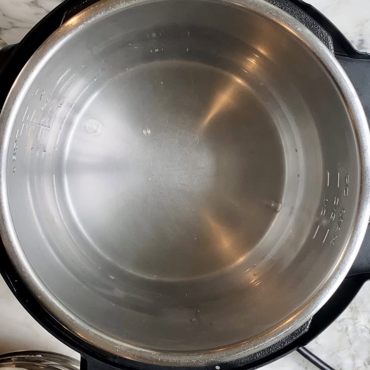 water added to instant pot insert.