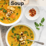 Vegetarian Mulligatawny Soup
