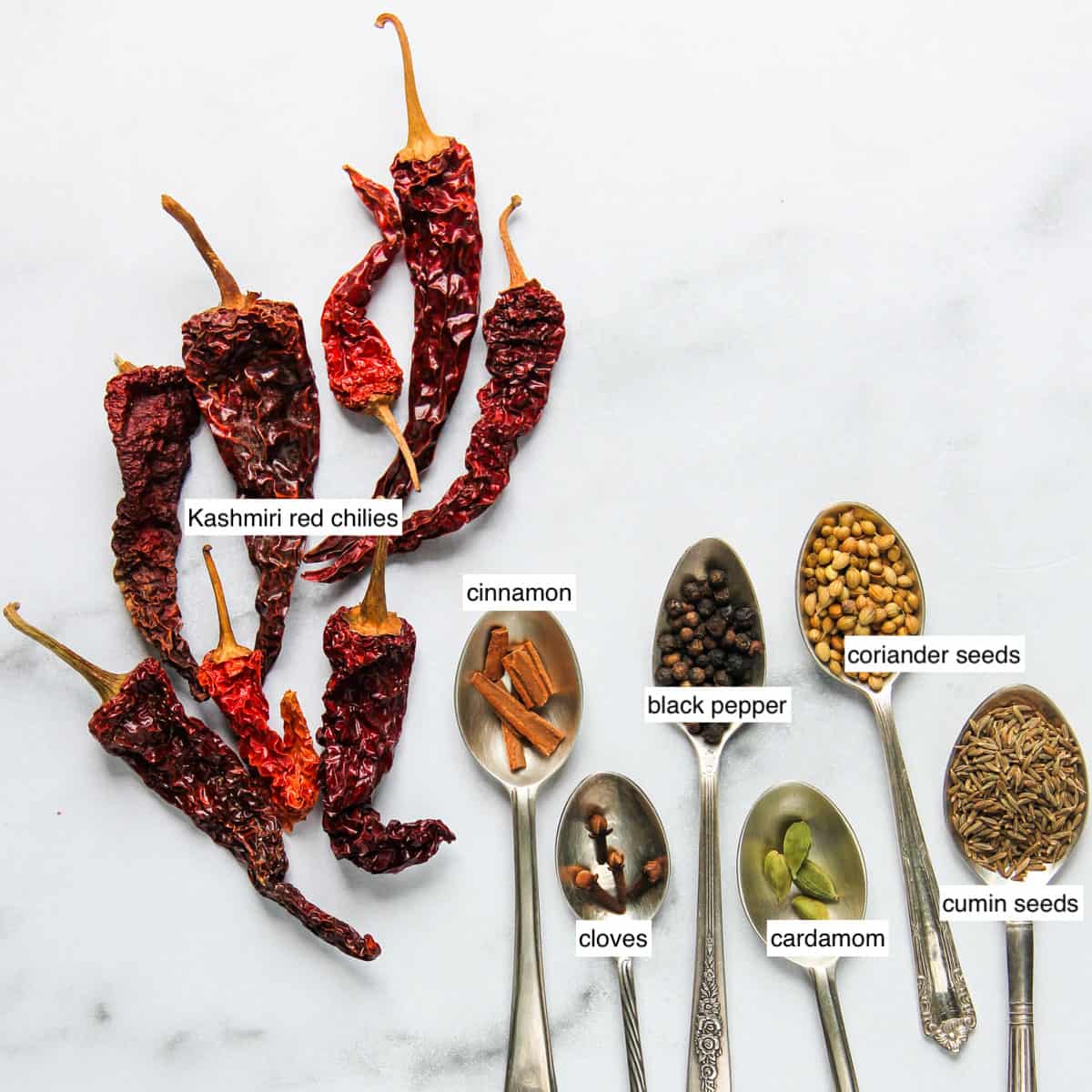 whole spices in spoons along side dried red chilies 