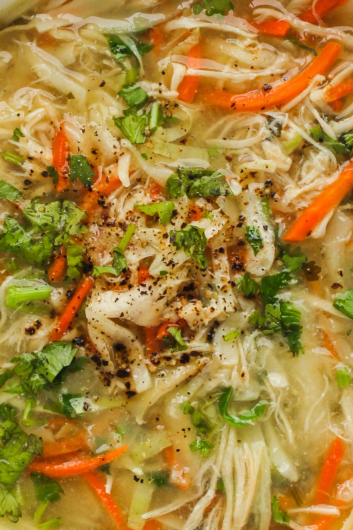 closeup photo of the lemon coriander soup 