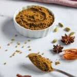Biryani Masala in a bowl and in a spoon with whole spices around