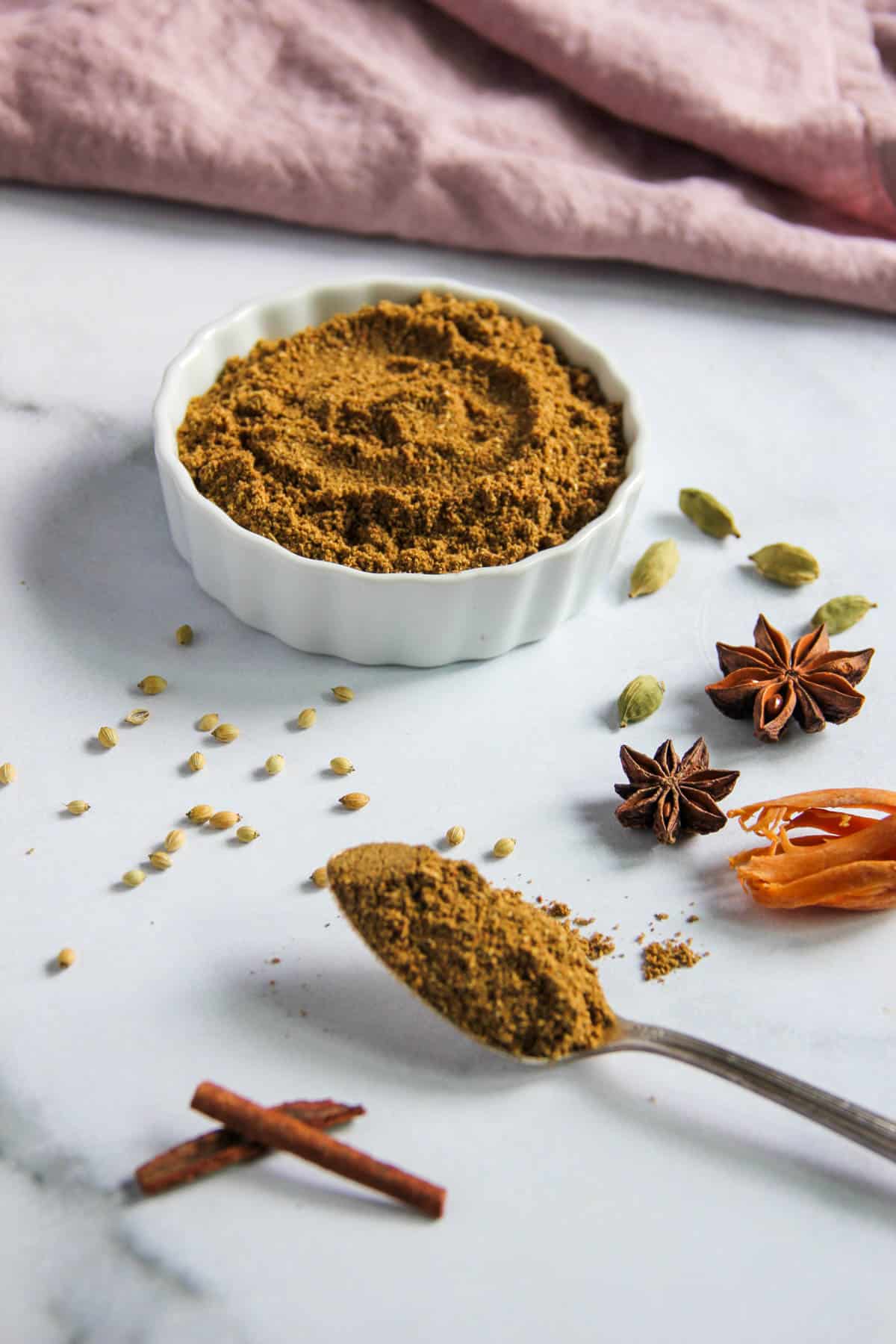 Biryani masala in a spoon with whole spices around it