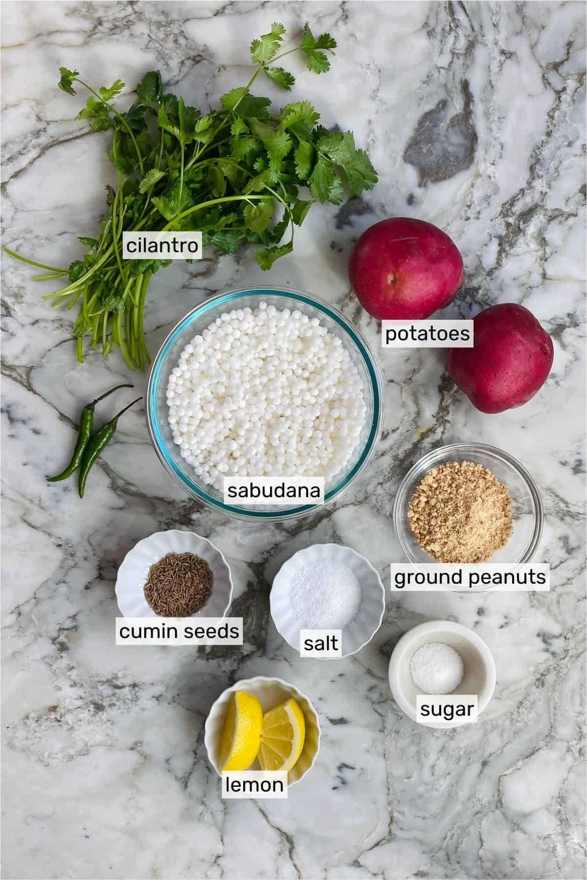 ingredients to make sabudana thalipeeth 