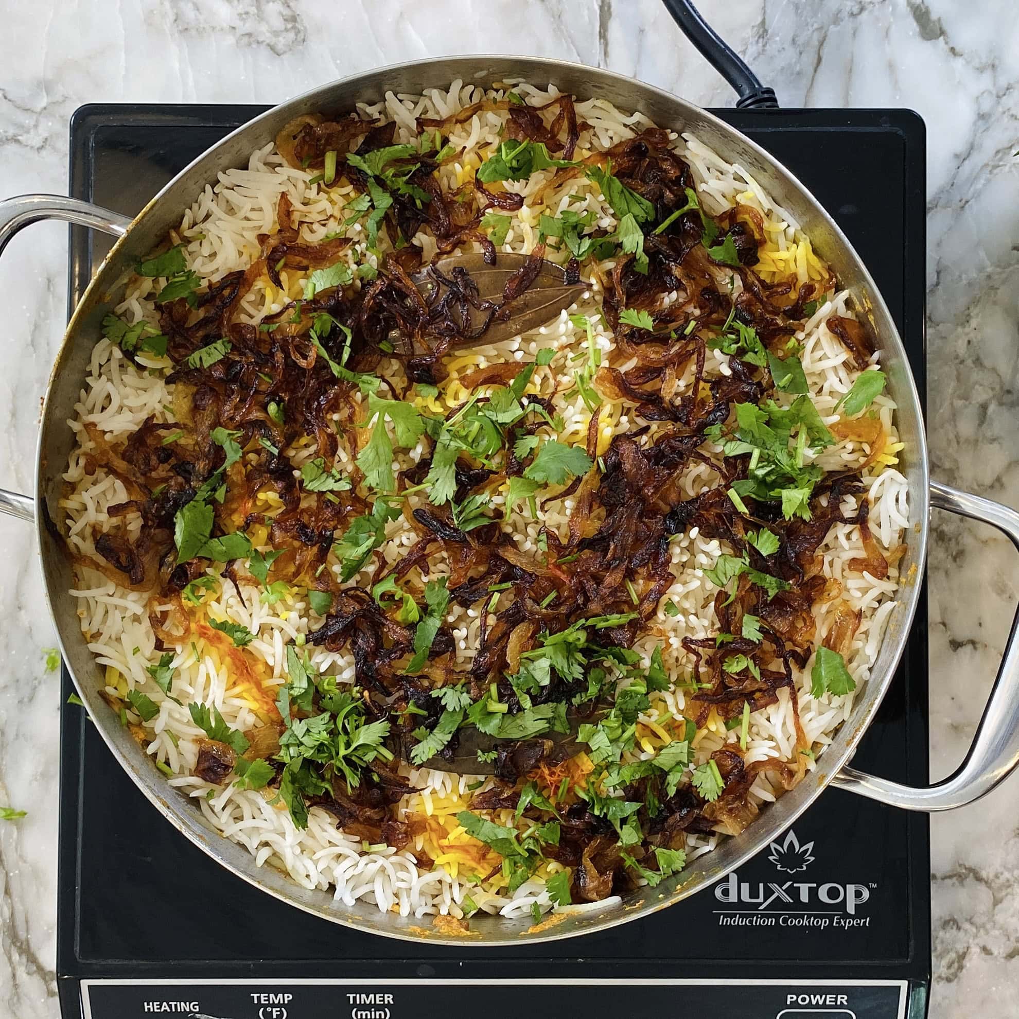 biryani in a pot garnished with fried onions, saffron and cilantro. 