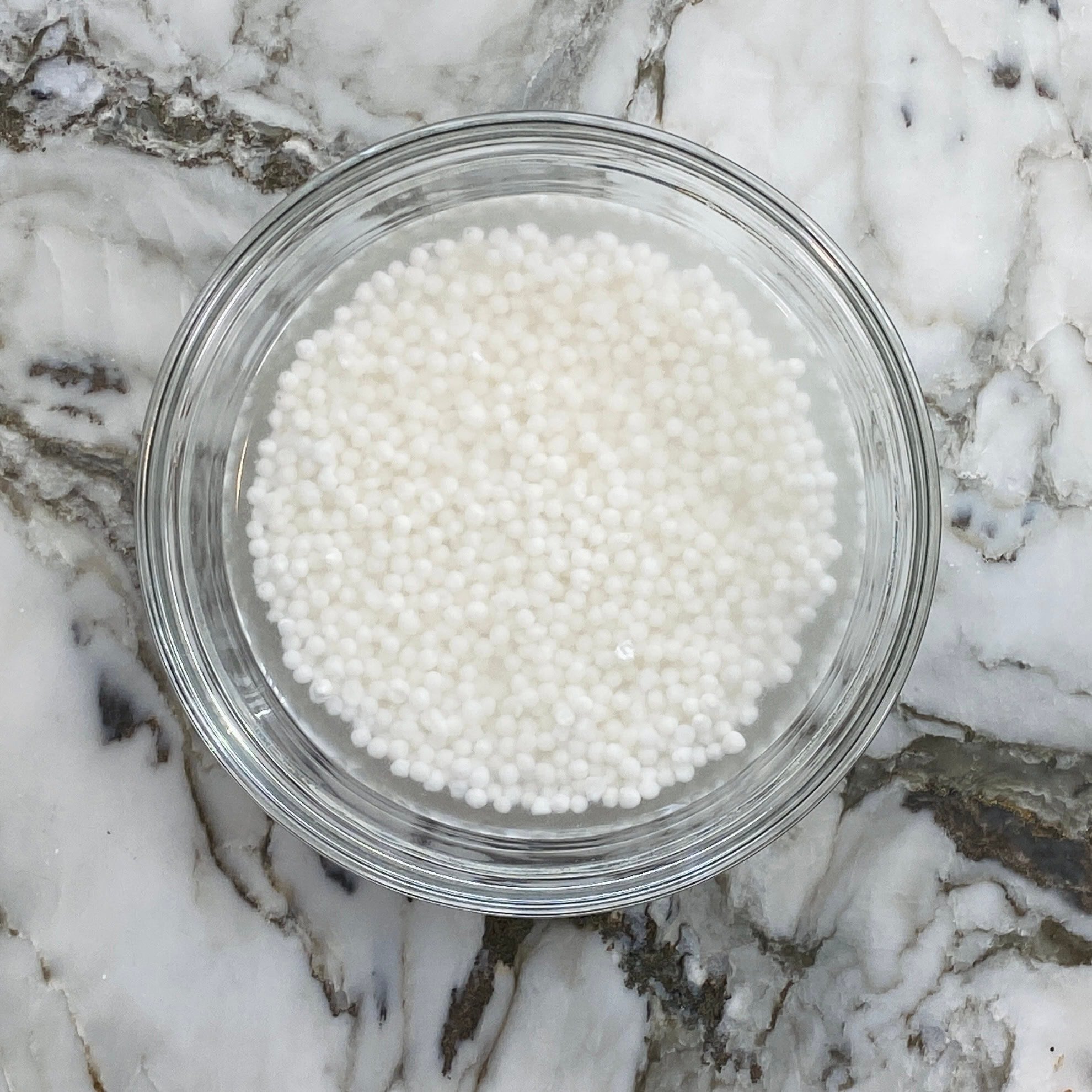 sabudana soaked in water 