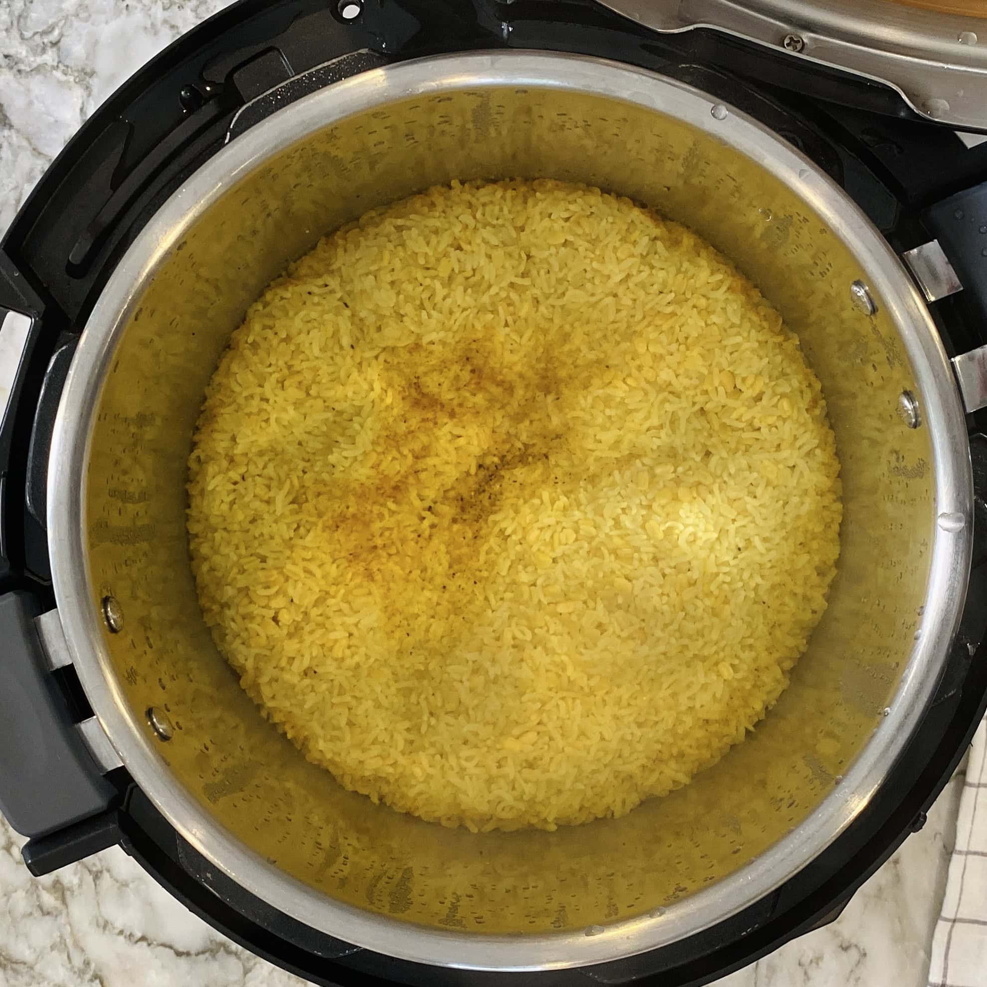 plain khichdi in the Instant Pot 