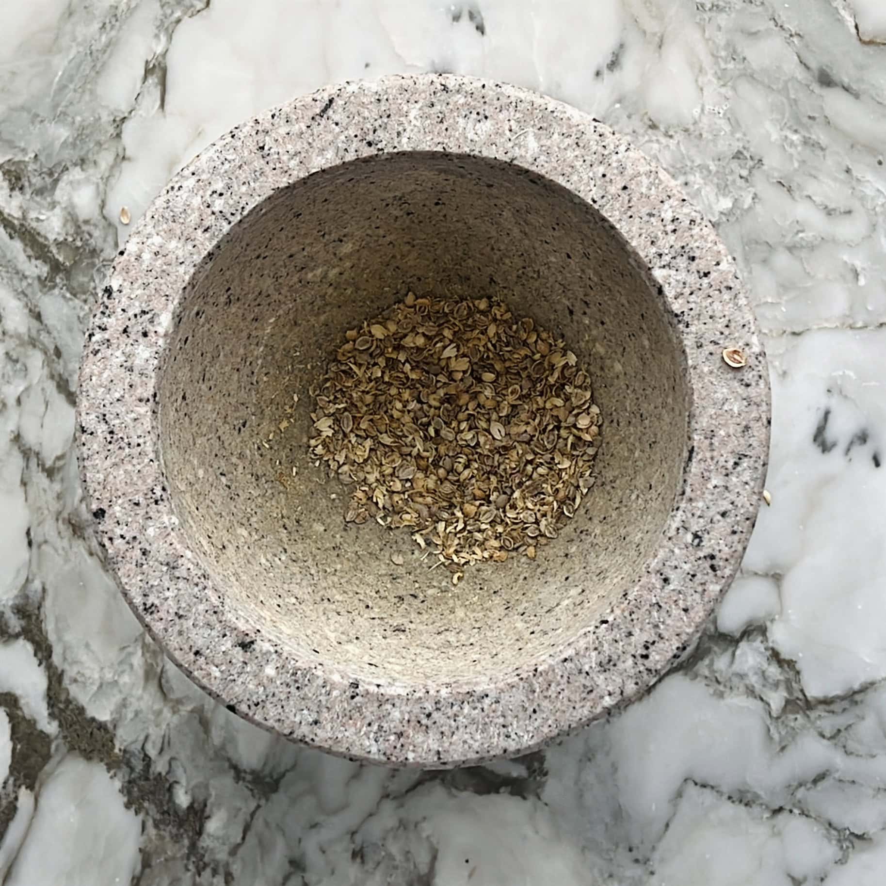 ground corinder seeds in mortar 