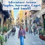 pinterest pin with a photo in Naples central
