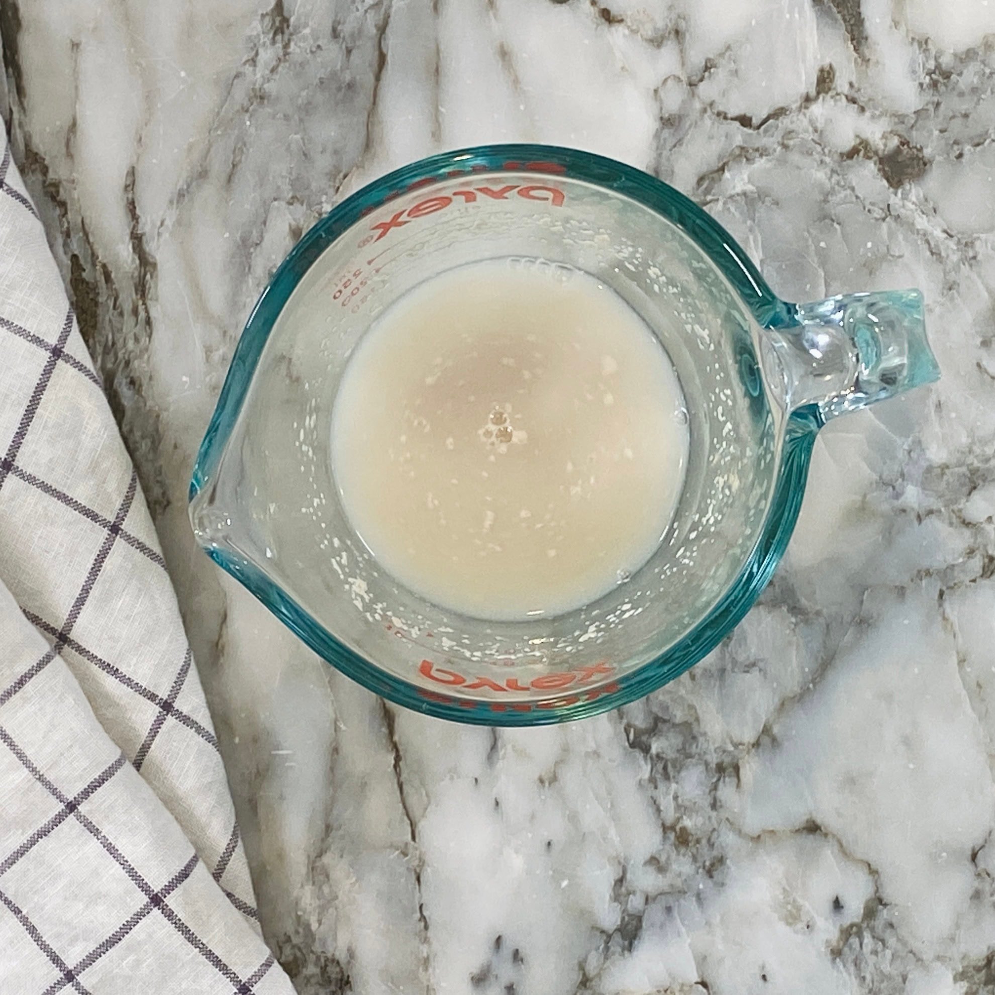 yeast added to warm water in a cup