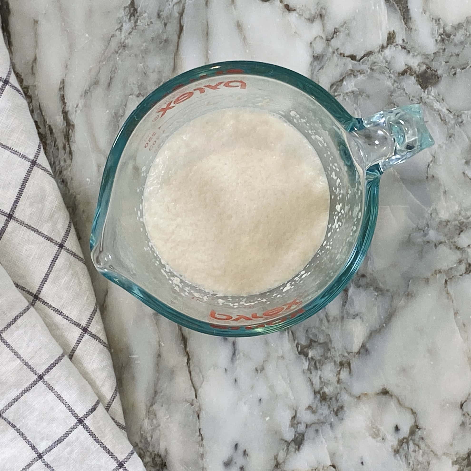 activated yeast in a cup