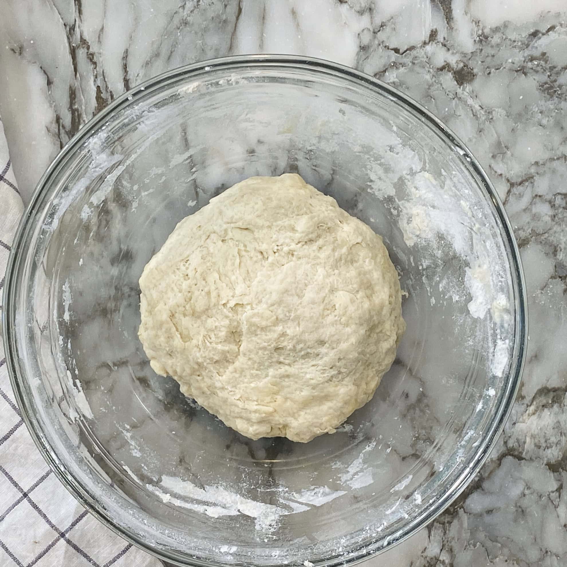 naan bread dough in a bowl