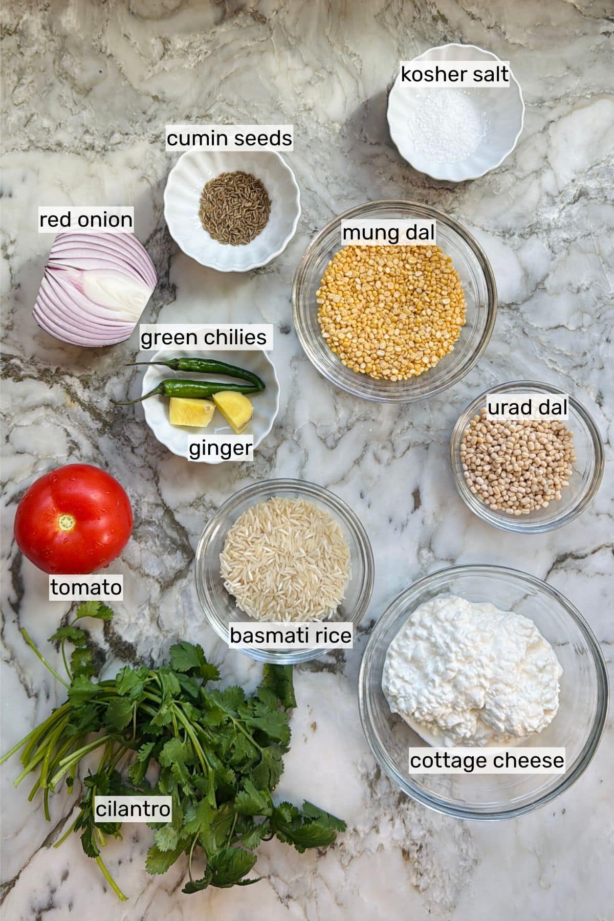 ingredients for cottage cheese uttapam.